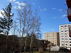 Borovina