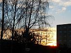 Borovina