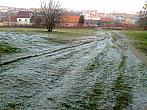 Borovina