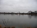 Třibřichy