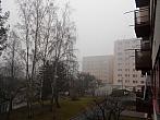 Borovina