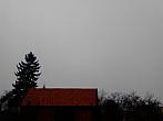 Kvasice