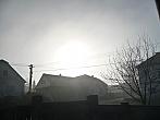 Třibřichy