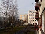 Borovina