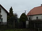 Třibřichy