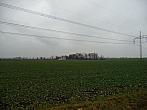 Třibřichy