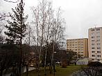 Borovina