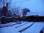 Třibřichy