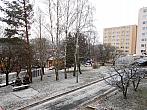 Borovina