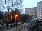 Borovina