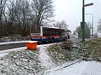 Borovina