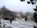 Borovina