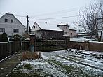 Třibřichy