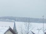 Předín