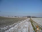 Třibřichy