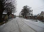 Třibřichy