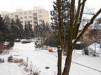 Borovina