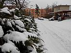 Borovina