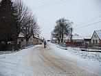 Třibřichy