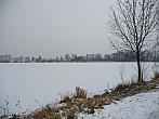 Třibřichy
