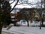 Borovina