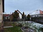 Třibřichy
