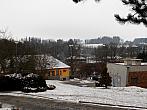 Borovina
