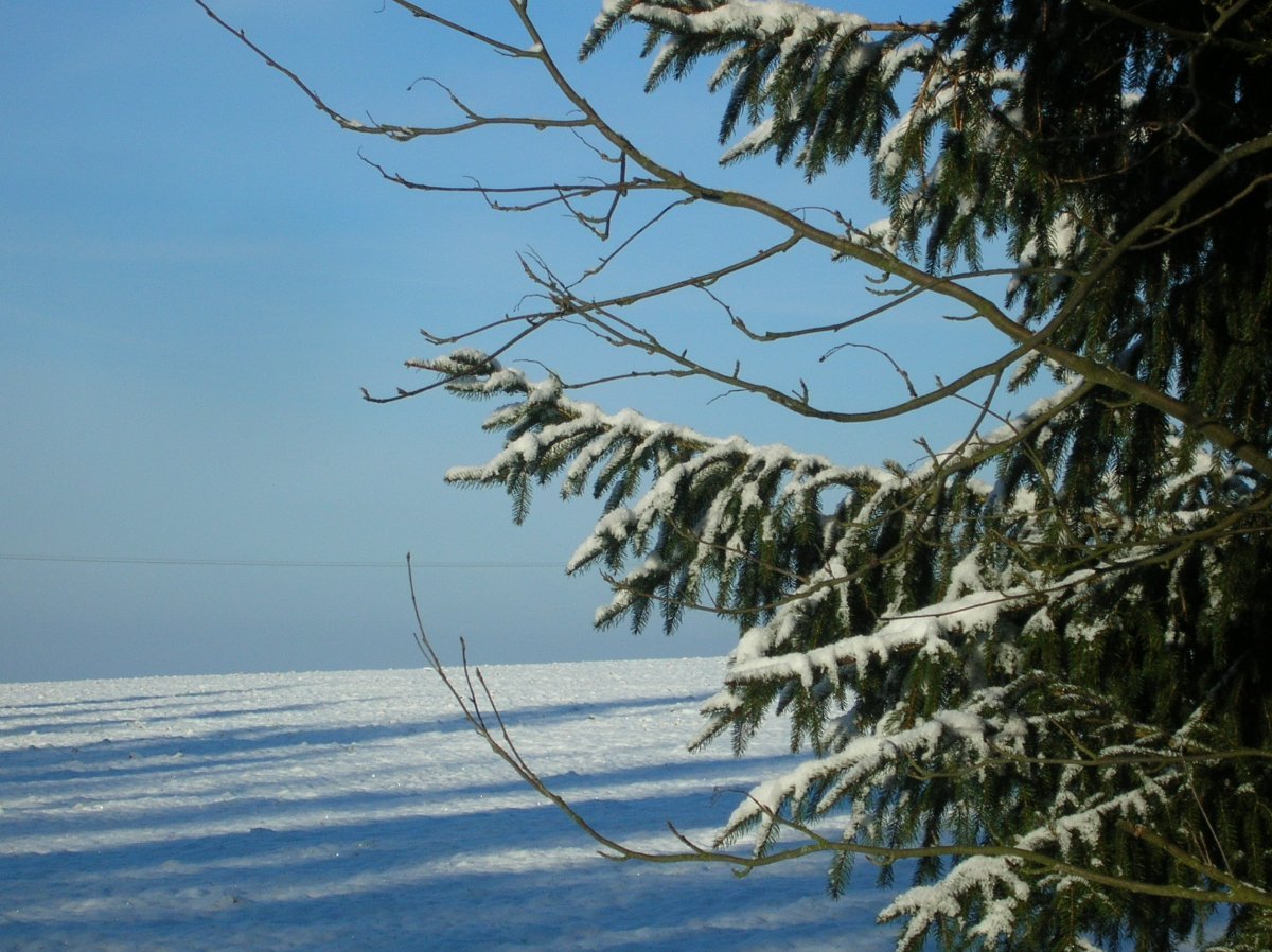 Němčice Zhoř