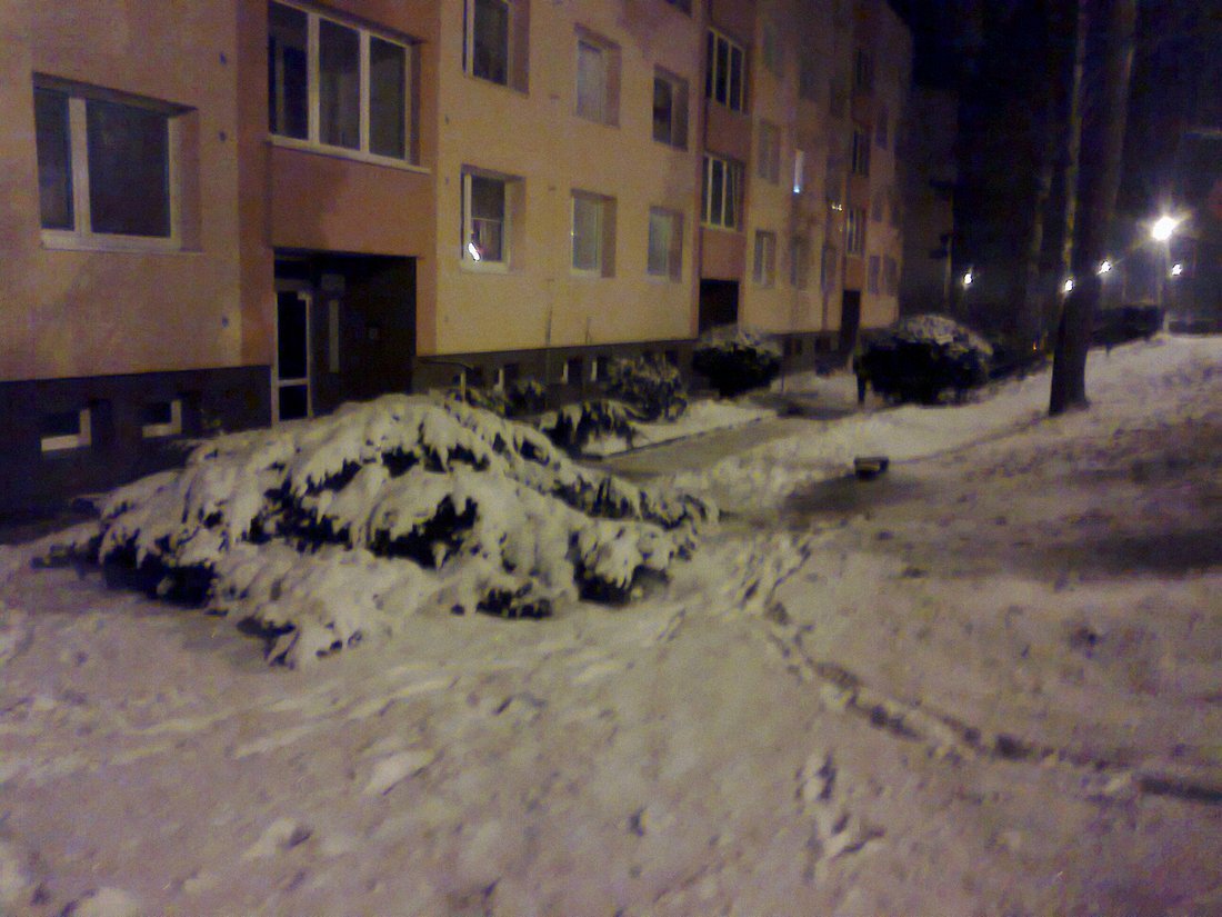 Borovina