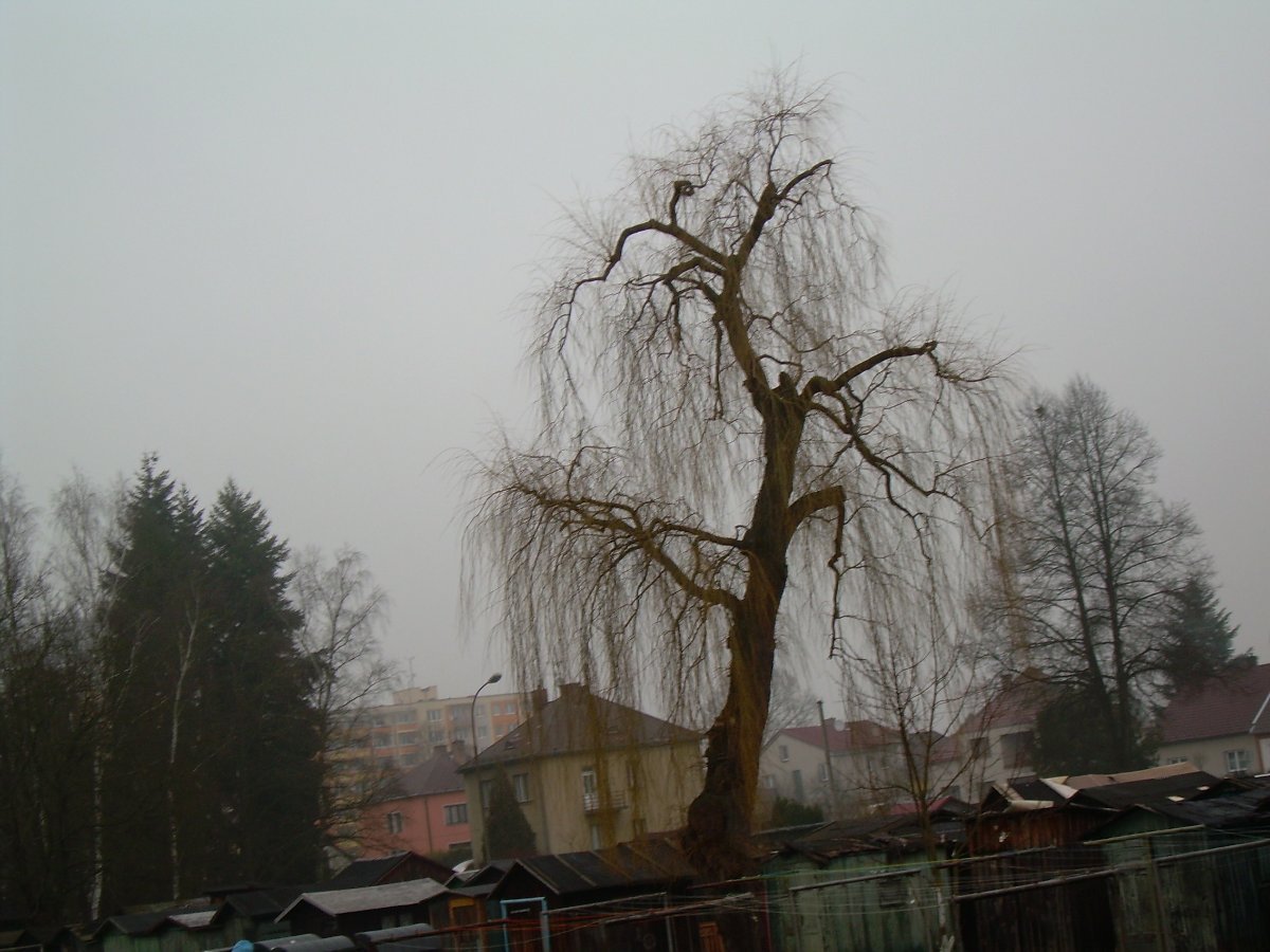 České Velenice