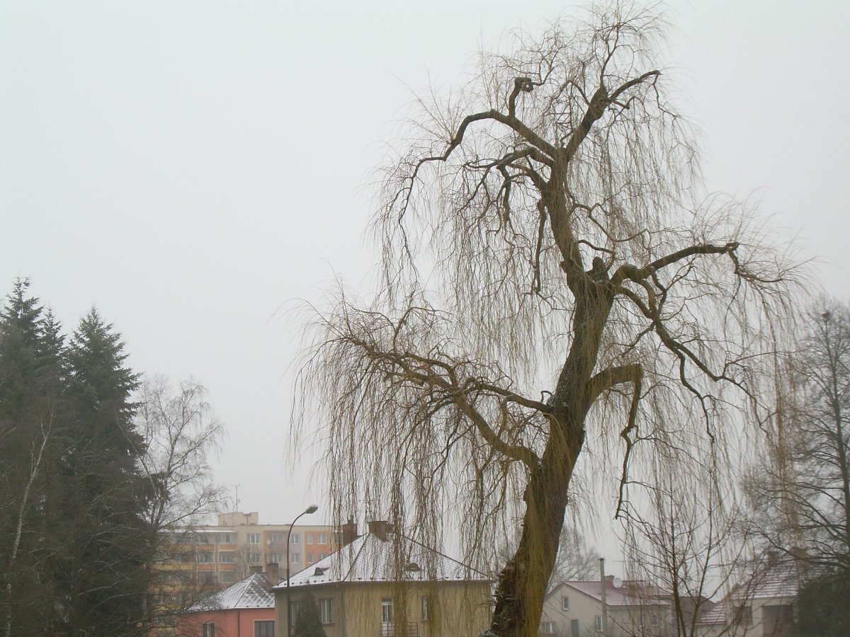 České Velenice