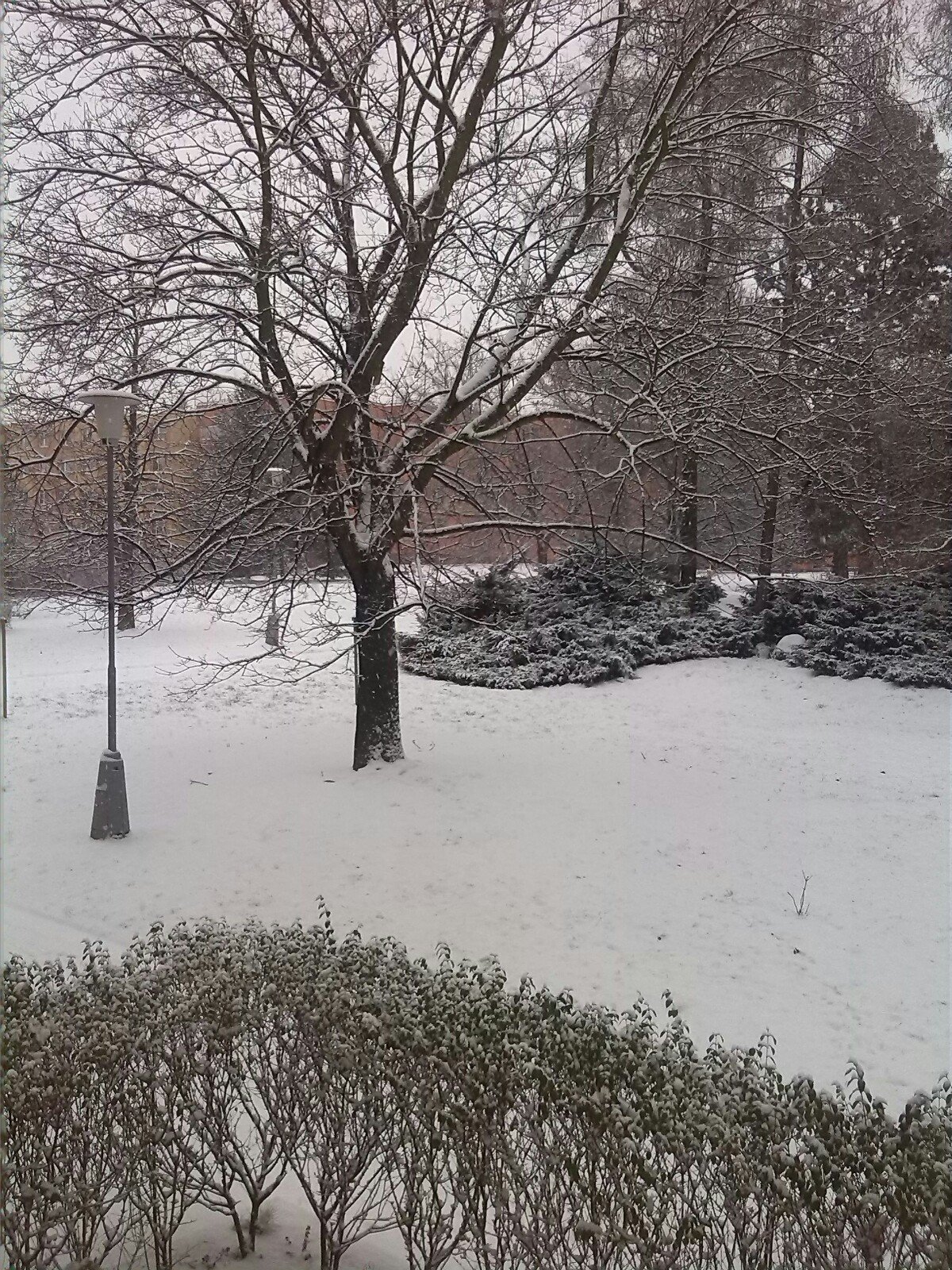 Brno - Řečkovice