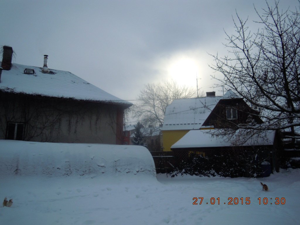 Vítkov