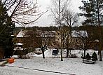 Borovina
