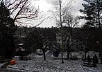 Borovina