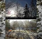 Borovina