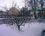 Štědrá