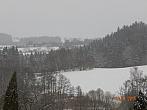 Zajíčkov
