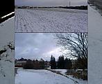 Borovina