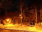 Borovina