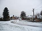 Třibřichy