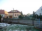 Třibřichy