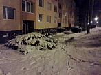 Borovina