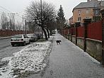Plzeň