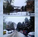 Borovina