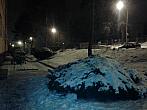Borovina