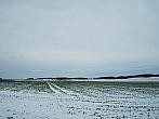 Hostákov