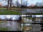 Borovina