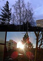 Borovina