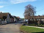 Třibřichy